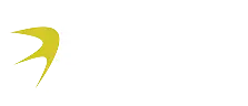CNS Logo