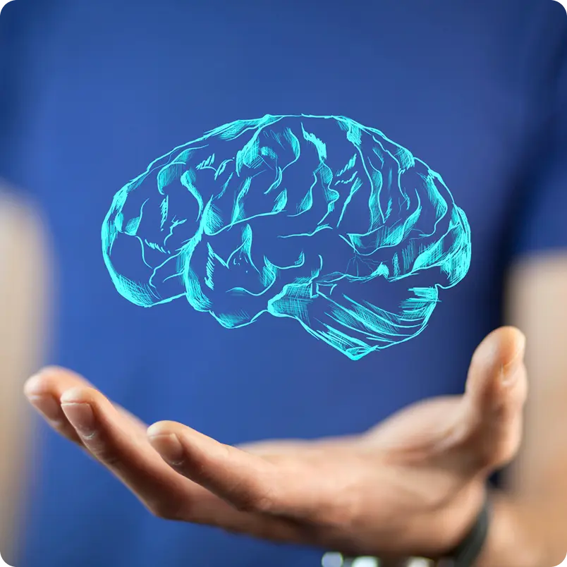 Brain diagram over hand