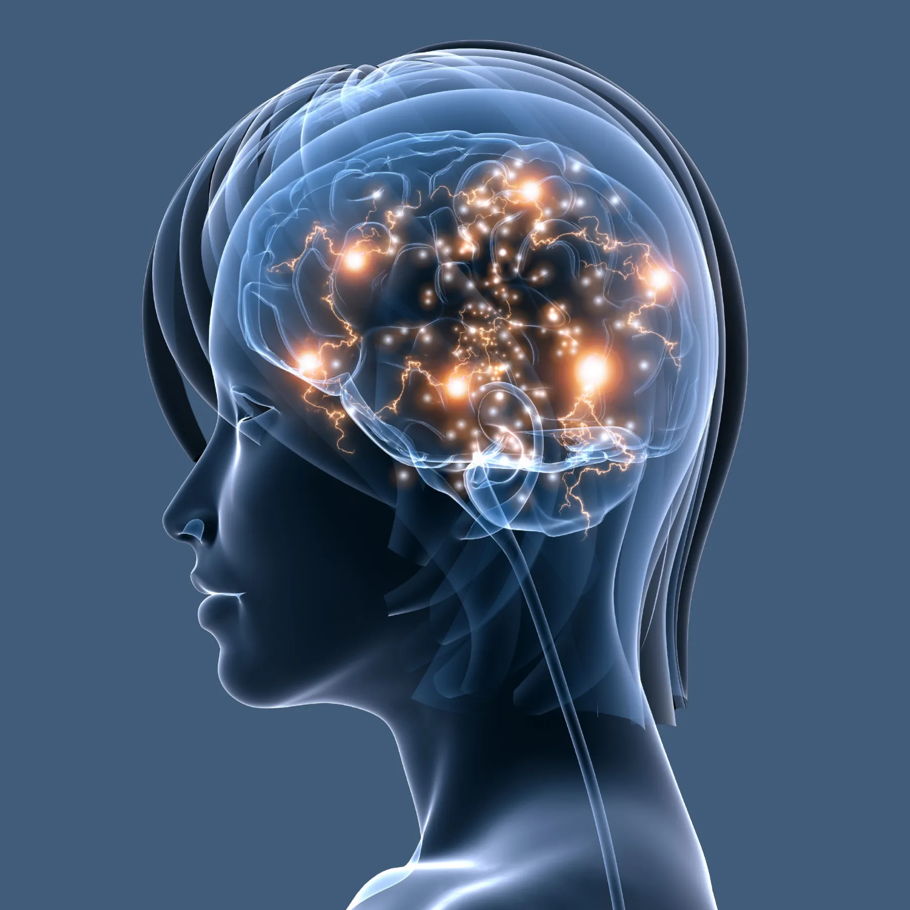 What Are Evoked Potential Studies